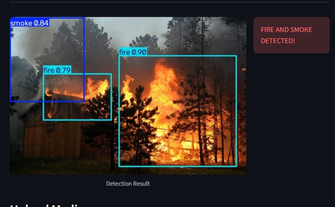 Fire Detection preview